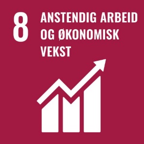 Bærekraftsmål 8 anstendig arbeid og økonomisk vekst