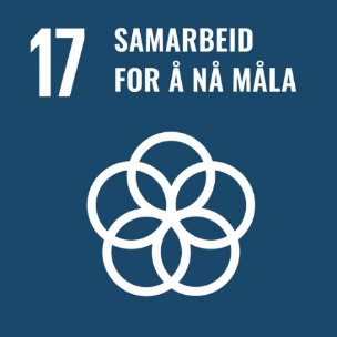 Bærekraftsmål 17 samarbeid for å nå målene