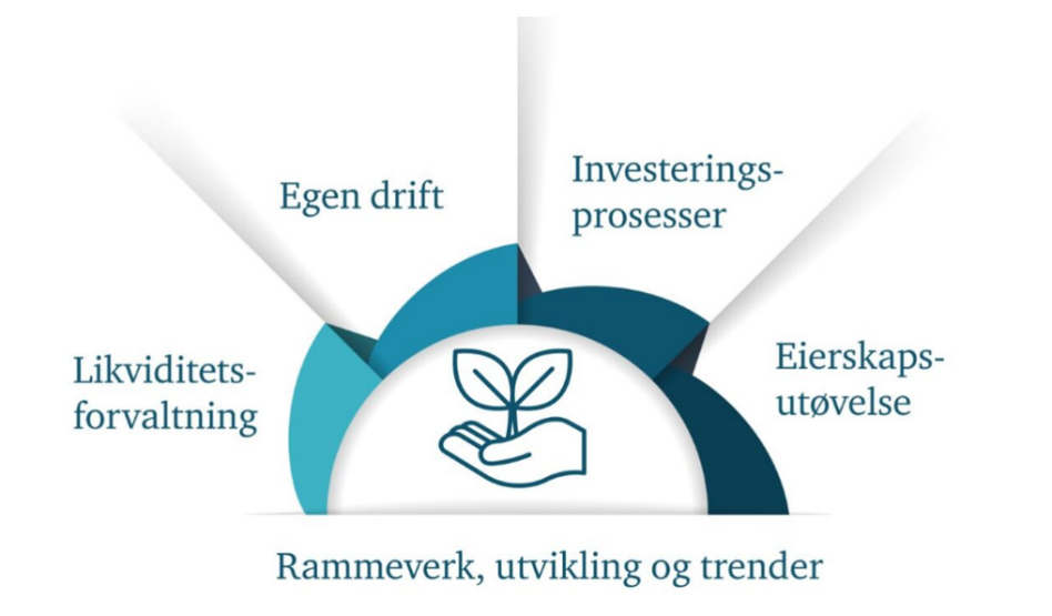 Diagram of a diagram showing a hand holding a plant