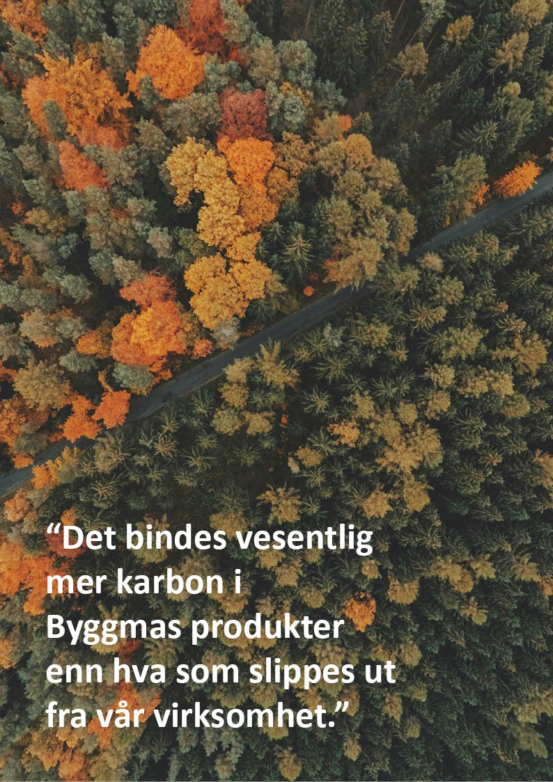 Et bilde som inneholder tekst, korallrev, blomster, skjermbilde

Automatisk generert beskrivelse