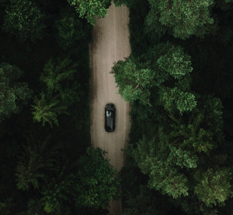 A car on a road surrounded by trees