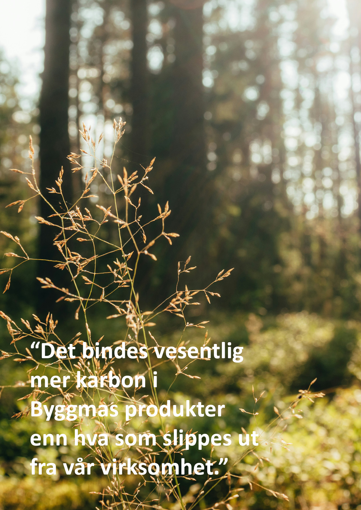 Et bilde som inneholder tekst, plante, utendørs, natur

Automatisk generert beskrivelse