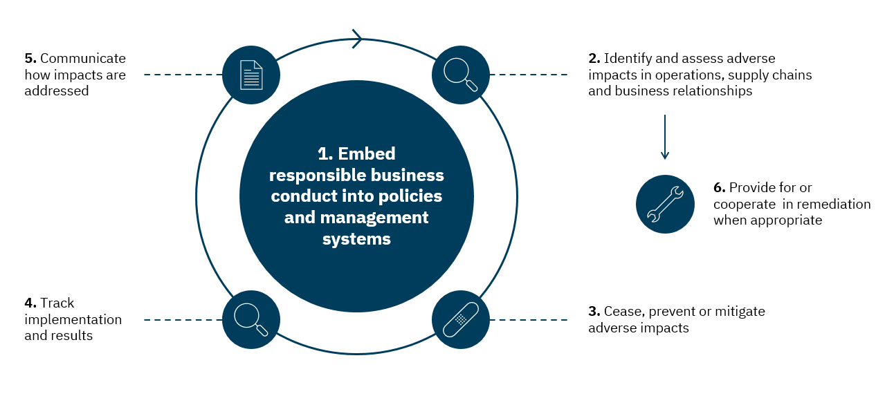 Figure: OECD's due diligence guidelines