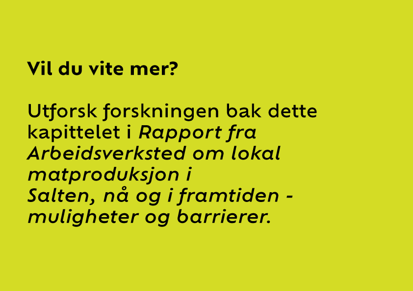 Bilde lenke: Utforsk forskningen bak dette kapittelet i rapporten: fra arbeidsverkstedet om lokal matproduksjon i Salten.