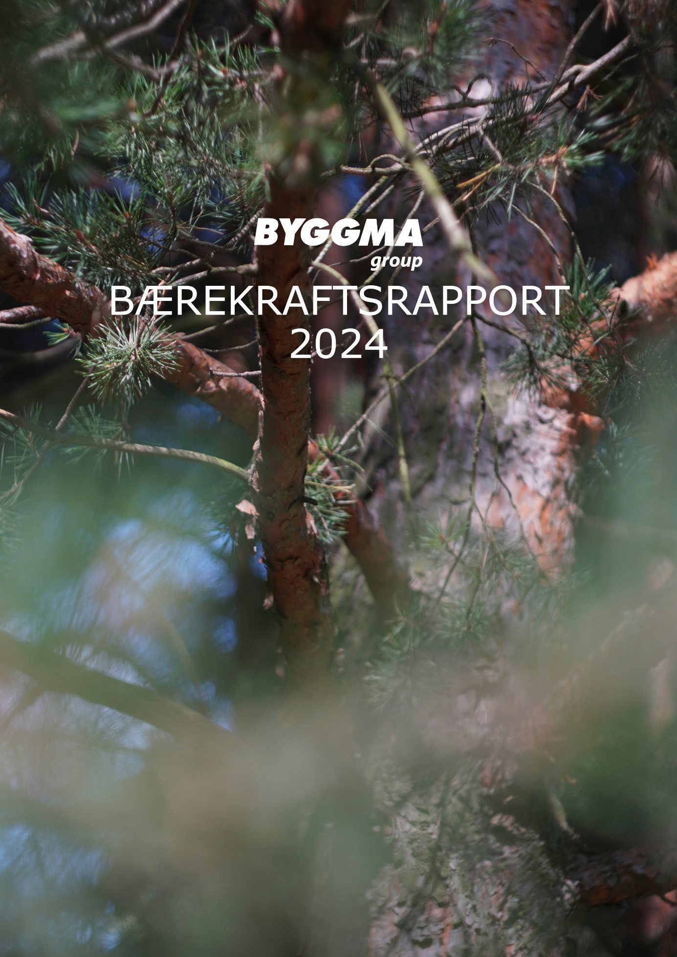 Bærekraftsrapport - forsidebildet