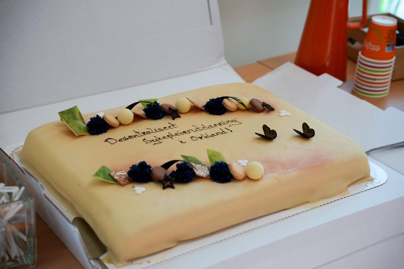 Et bilde som inneholder bursdagskake, dessert, innendørs, ovnsbakt mat

KI-generert innhold kan være feil.