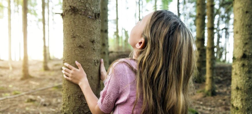 A child hugging a tree

AI-generated content may be incorrect.