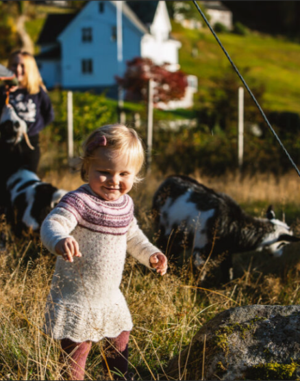 A child standing in a field with goats