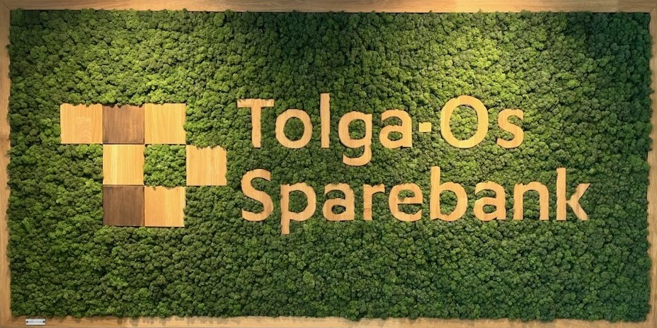 Et bilde som inneholder tekst, Rektangel, grønn, matte

KI-generert innhold kan være feil.