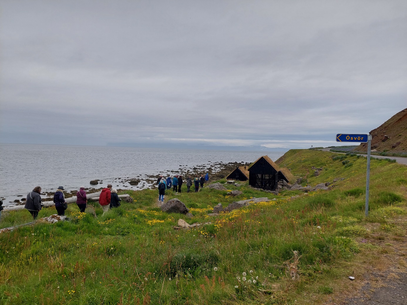 A group of people on a beach

Description automatically generated with low confidence