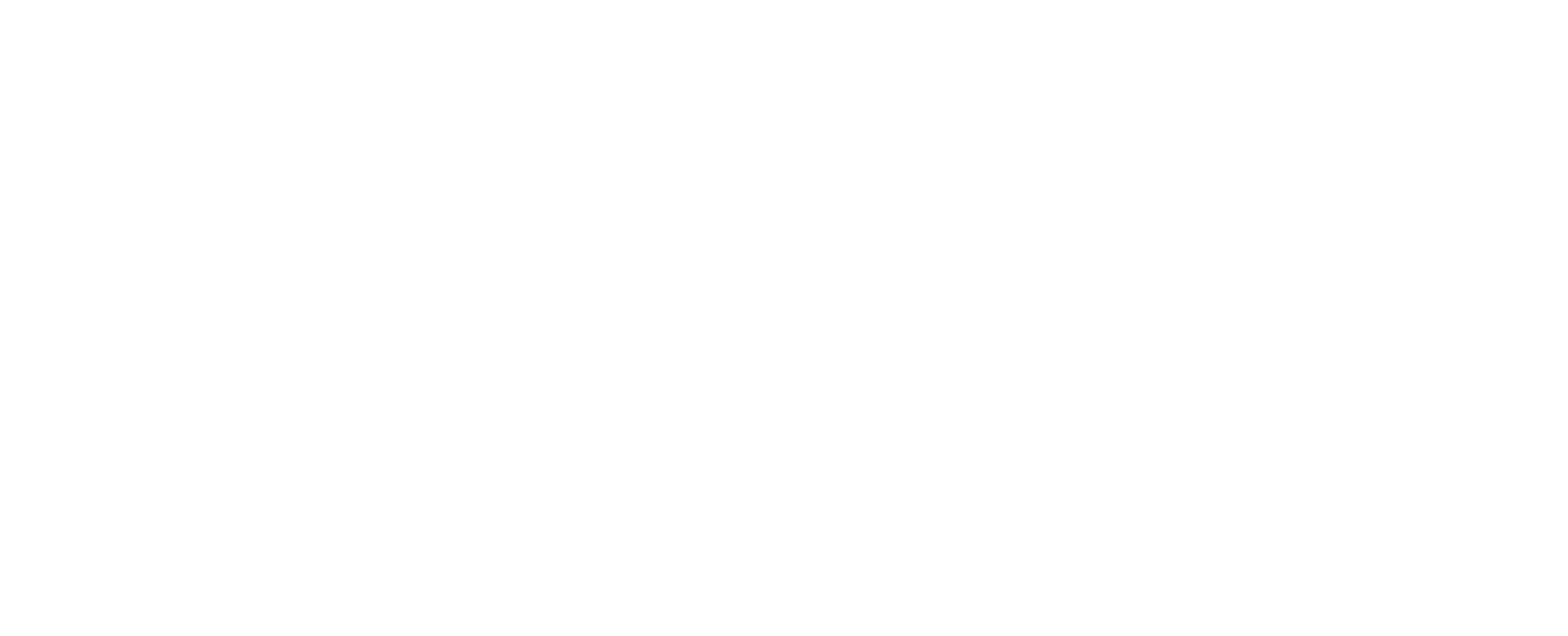 Eika Digitalbank logo