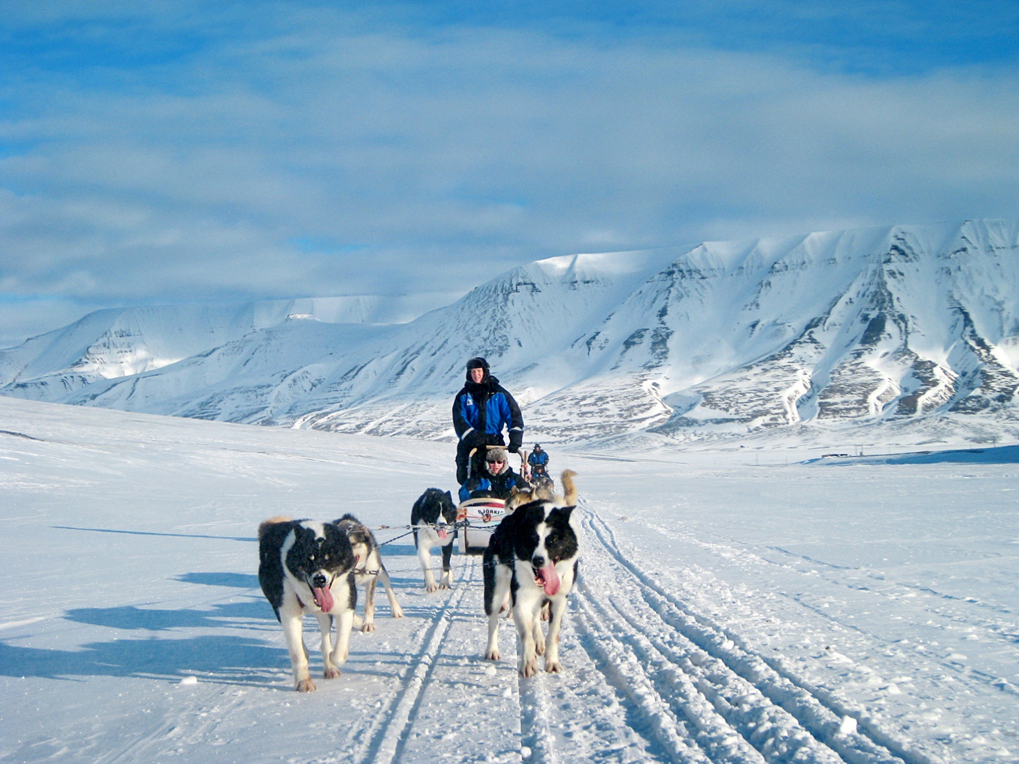 Et bilde som inneholder utendørs, slede, hund, transport

Automatisk generert beskrivelse