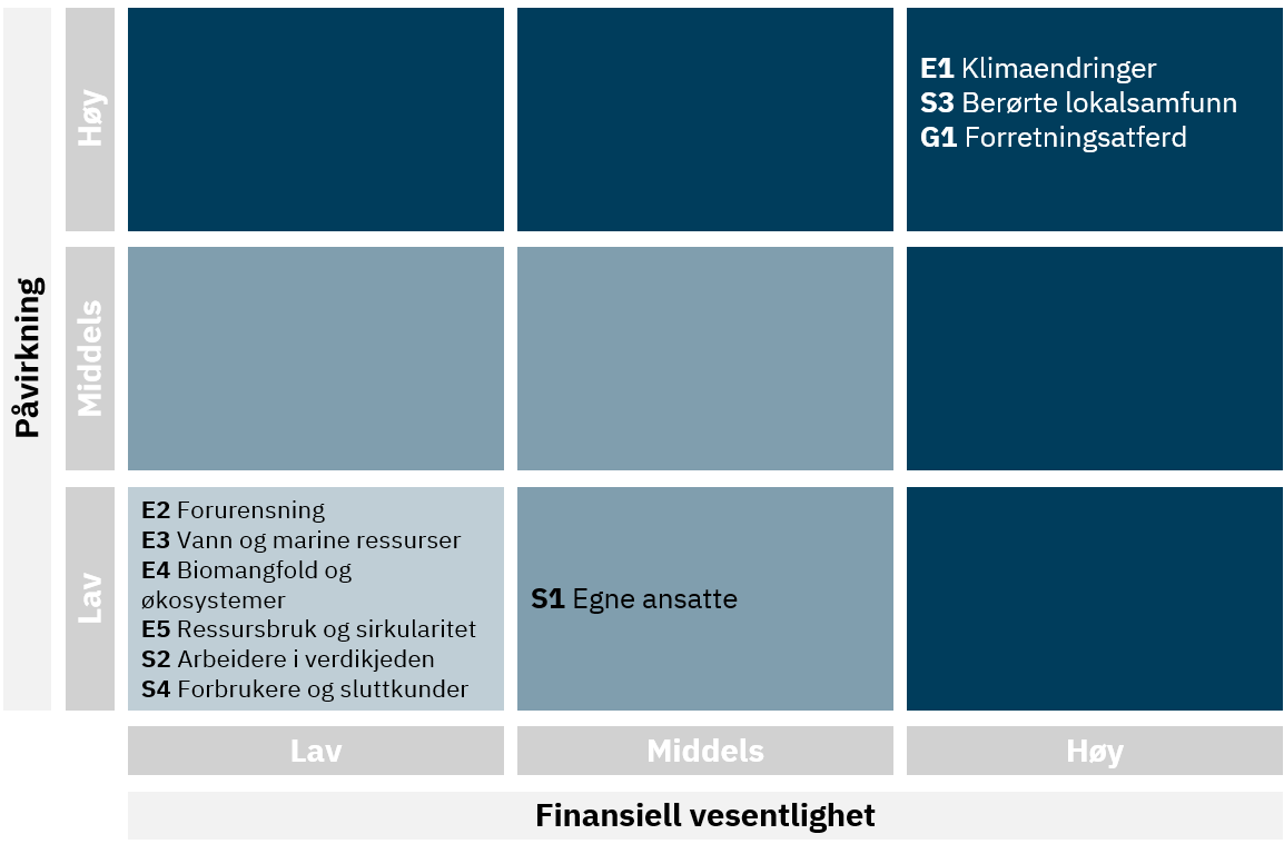 Figur: Vesentlighetmatrise