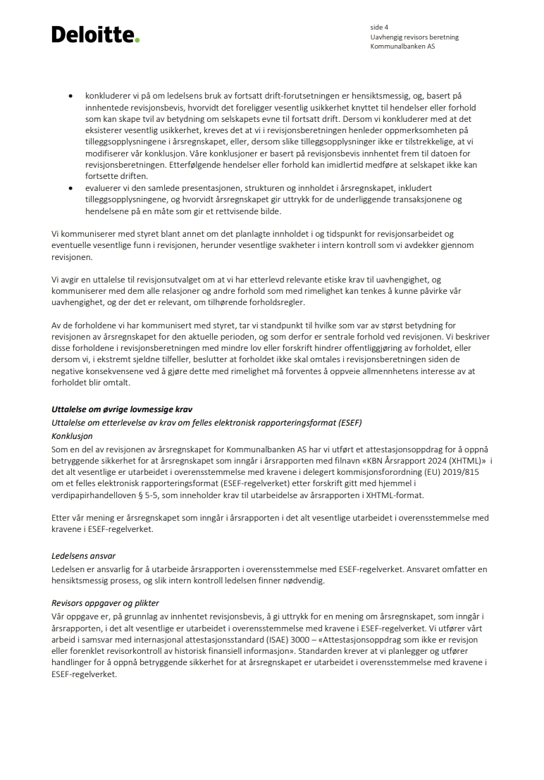 Revisjonsberetning 2024
