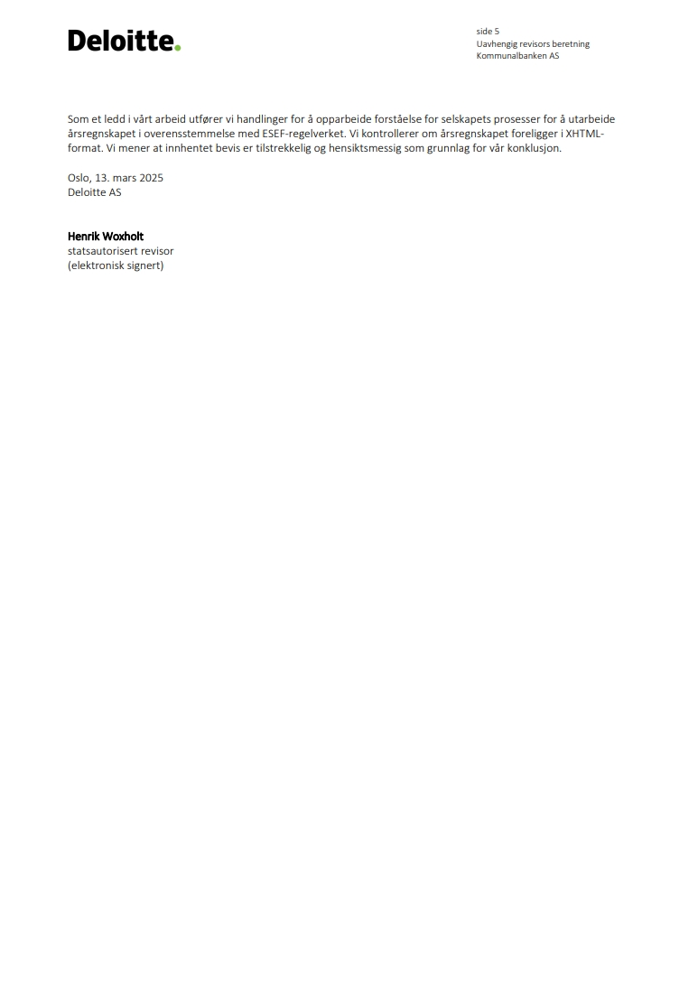 Revisjonsberetning 2024
